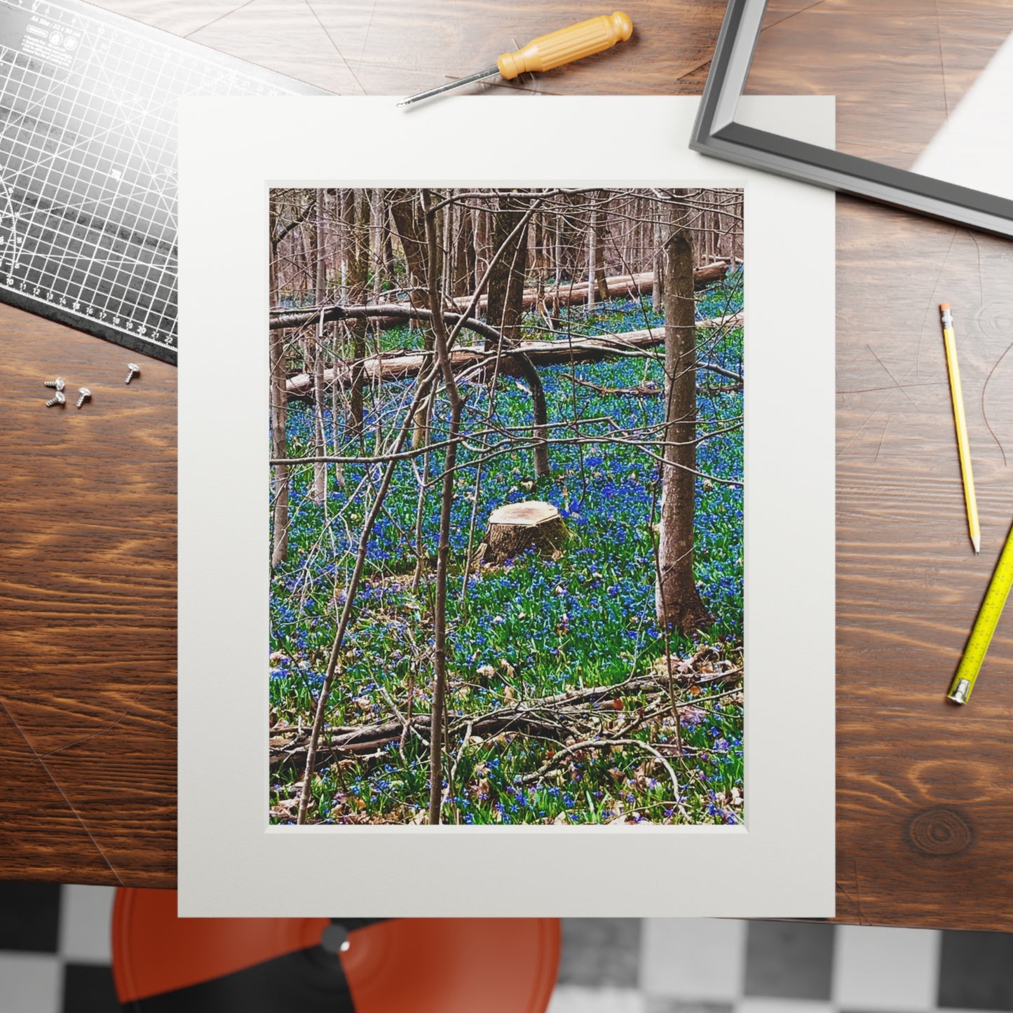 Spring Forrest flowers