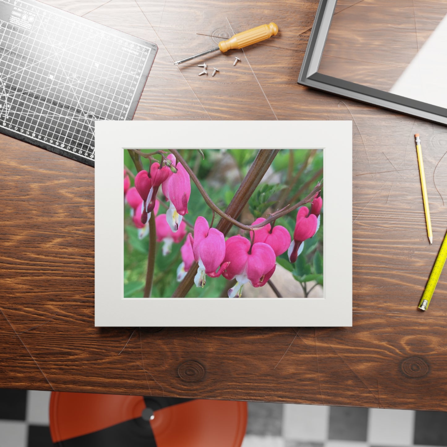 Bleeding hearts ❤️