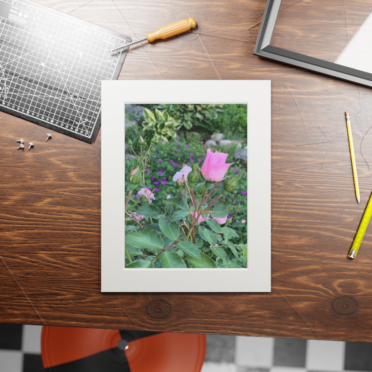 Secret garden pink rose