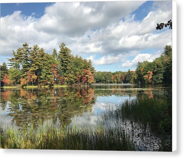 Buker Pond - Canvas Print