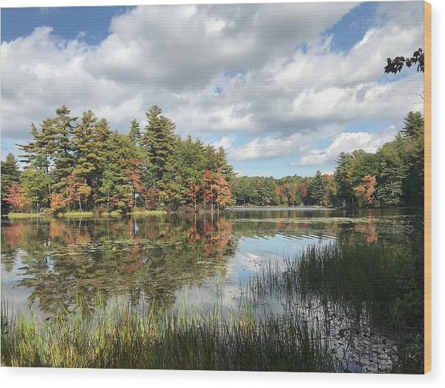 Buker Pond - Wood Print