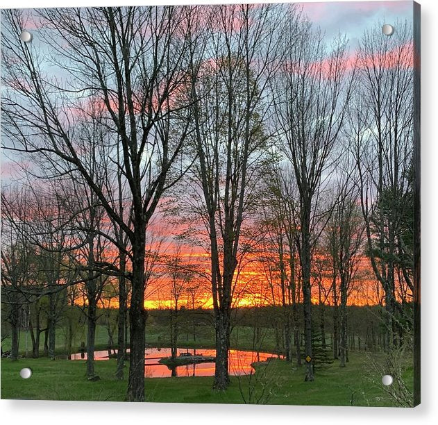 Morning Sunrise - Acrylic Print