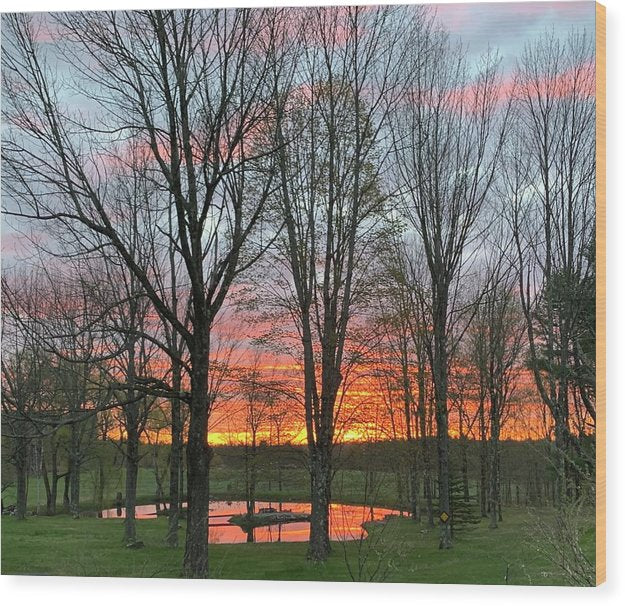 Morning Sunrise - Wood Print