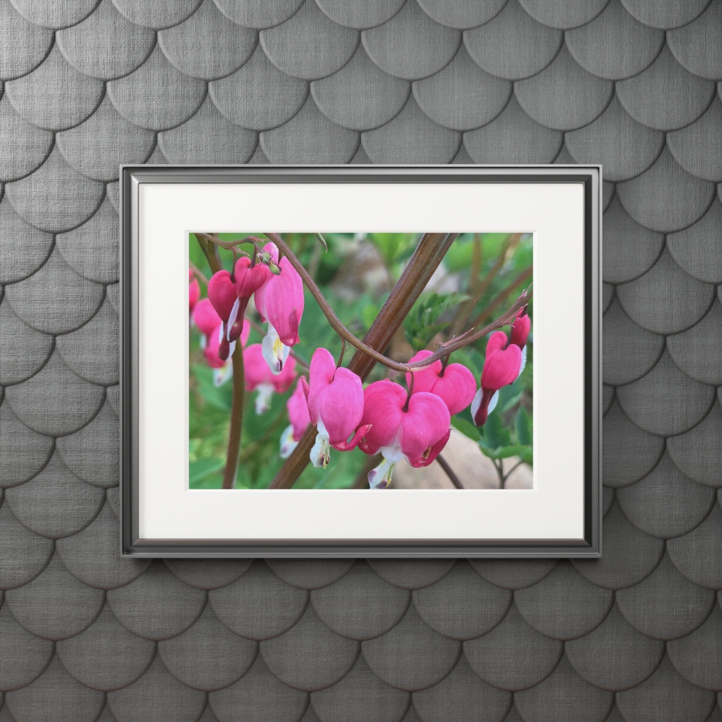 Bleeding hearts ❤️