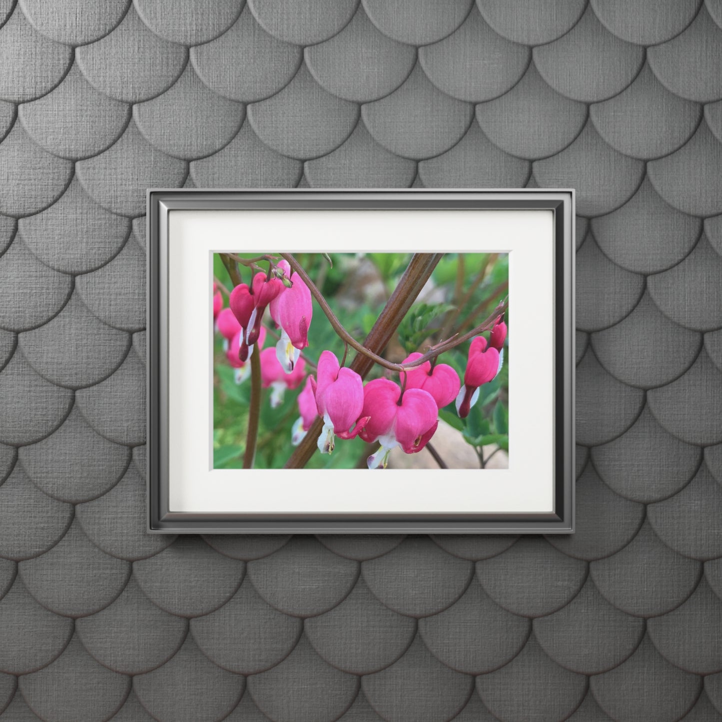 Bleeding hearts ❤️