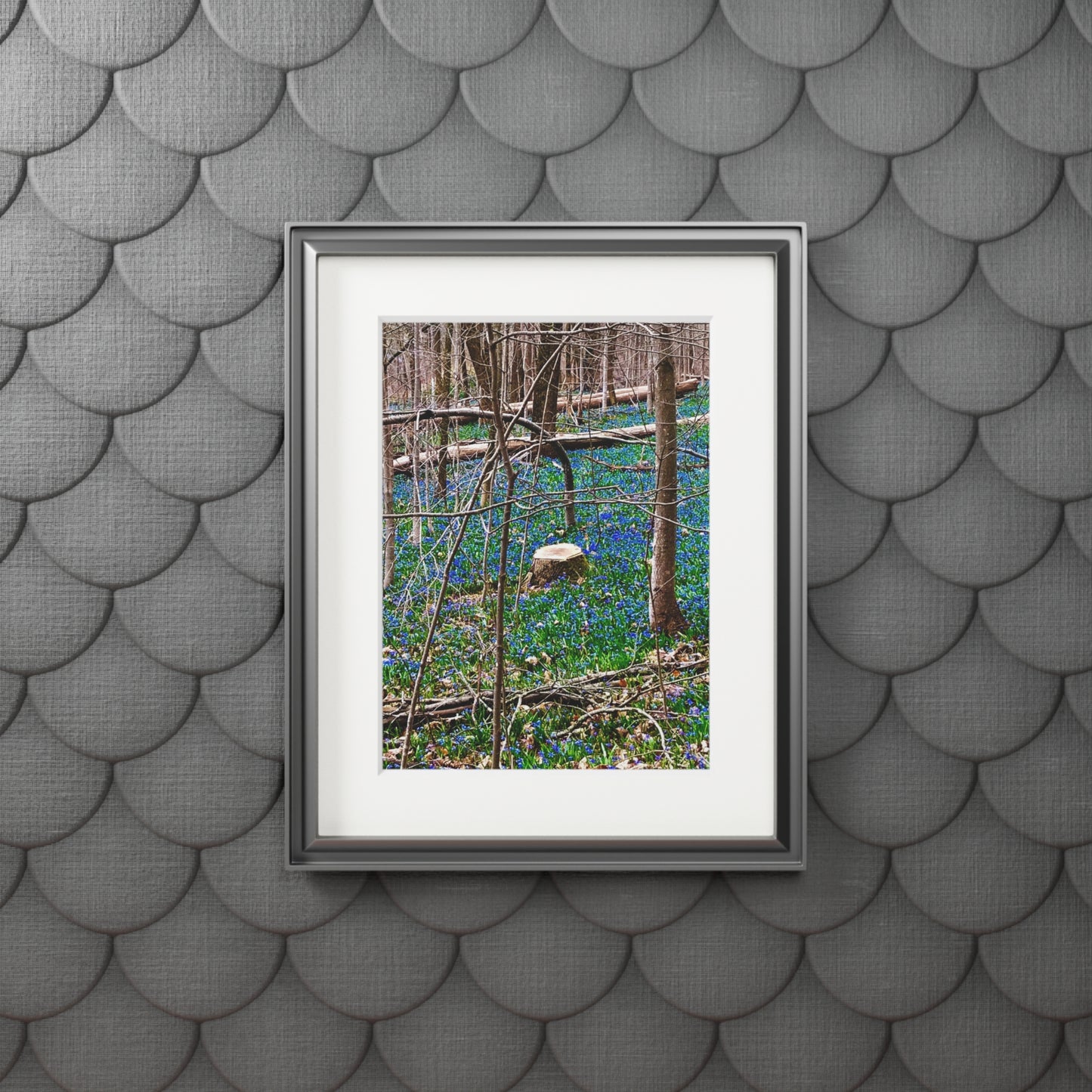 Spring Forrest flowers