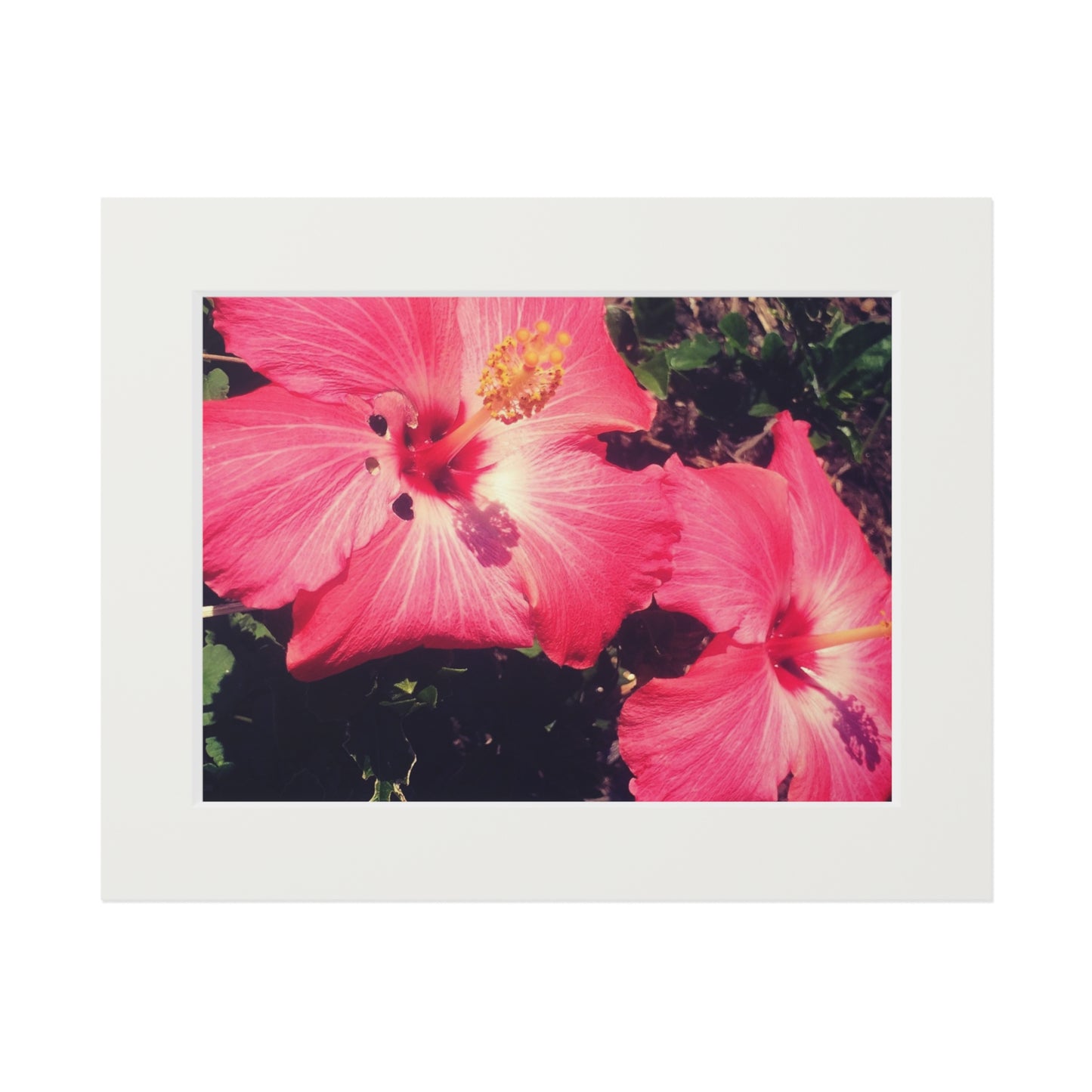 Secret garden red flowers