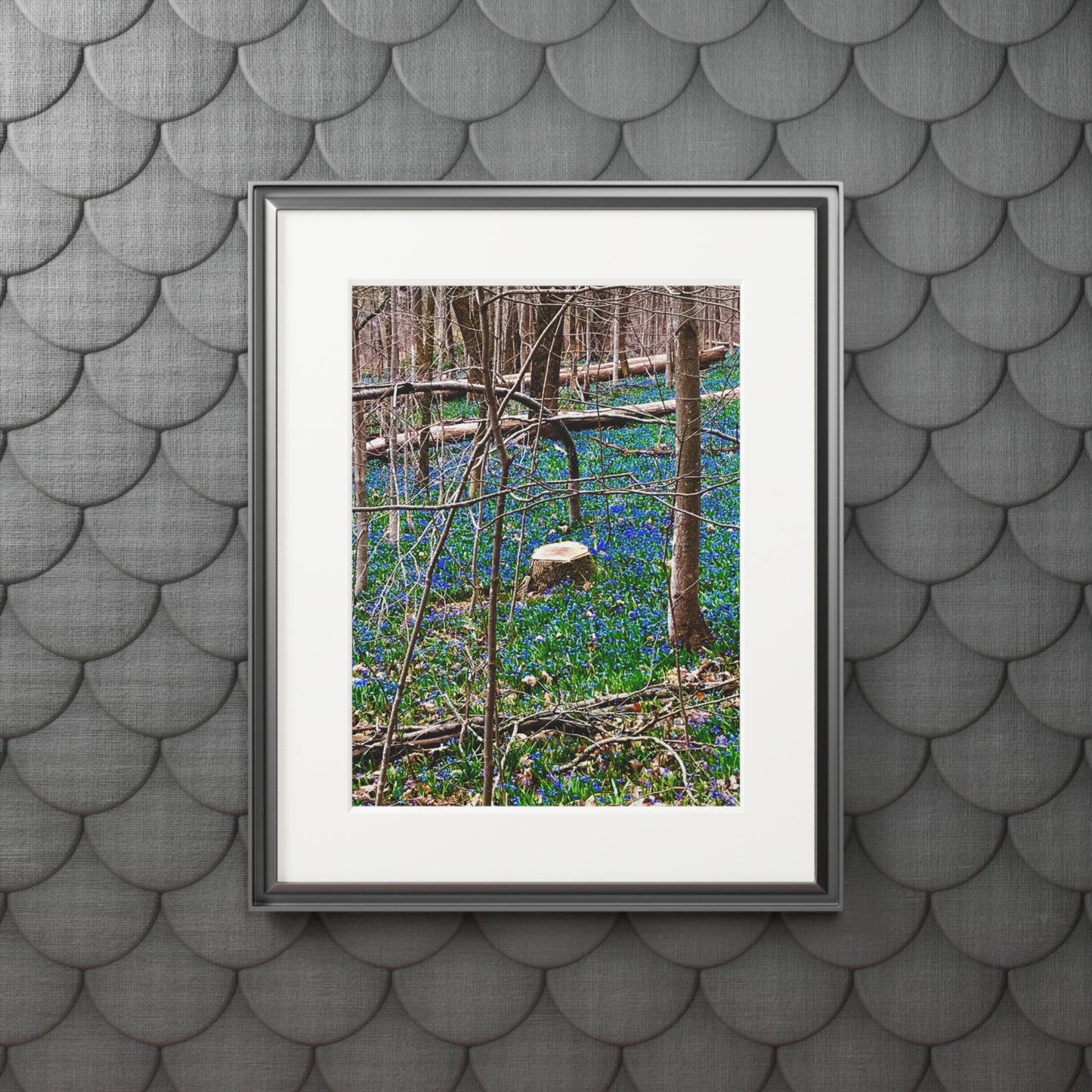 Spring Forrest flowers