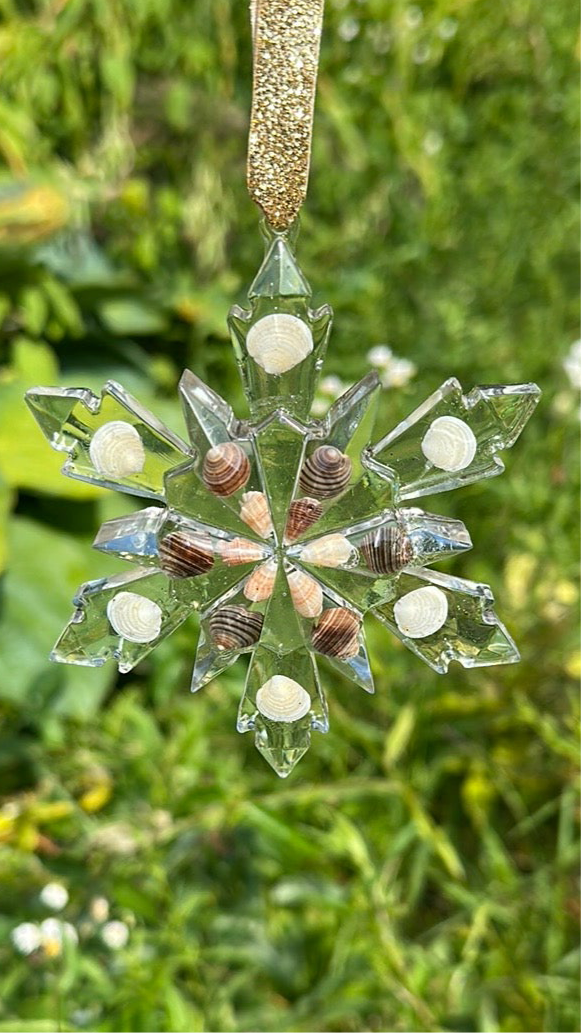 Seashell snowflakes