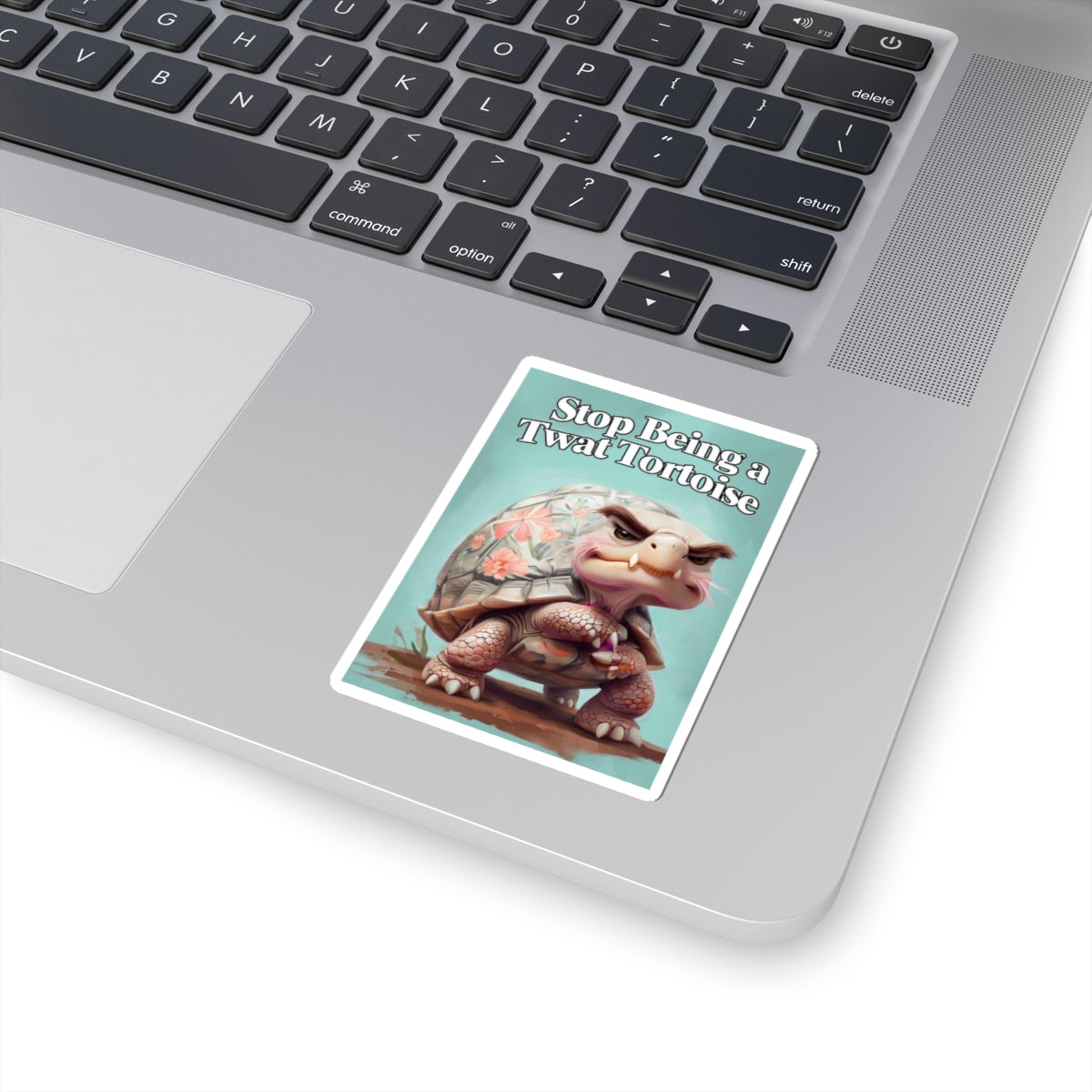 Funny Turtle Kiss-Cut Stickers, Stop Being a Twat Tortoise, Whimsical Decor, Laptop Stickers, Gift for Friends, Humor