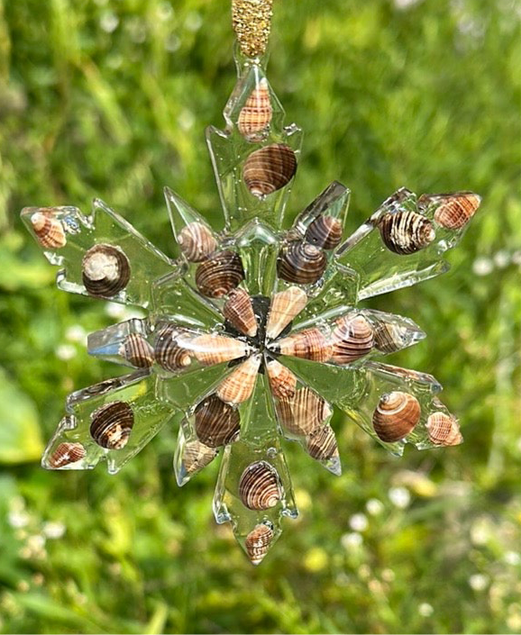 Seashell snowflakes