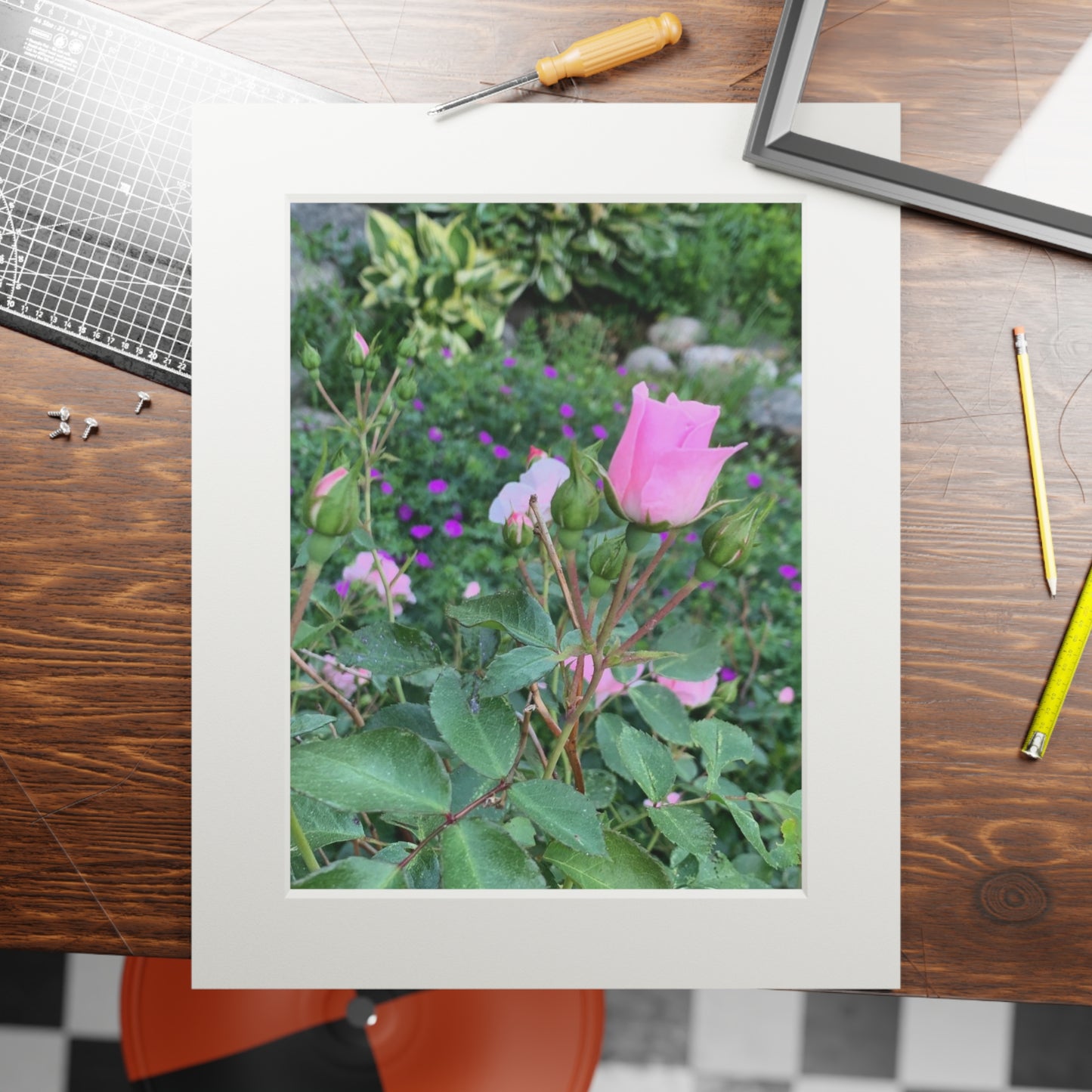 Secret garden pink rose