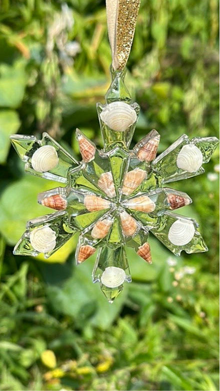 Seashell snowflakes
