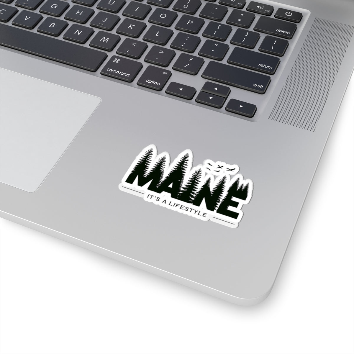 Maine Outdoor Enthusiast Sticker, Adventure Weatherproof Decal, Hiking Camping Water Bottle Laptop, Nature Explore Wilderness, Gift for