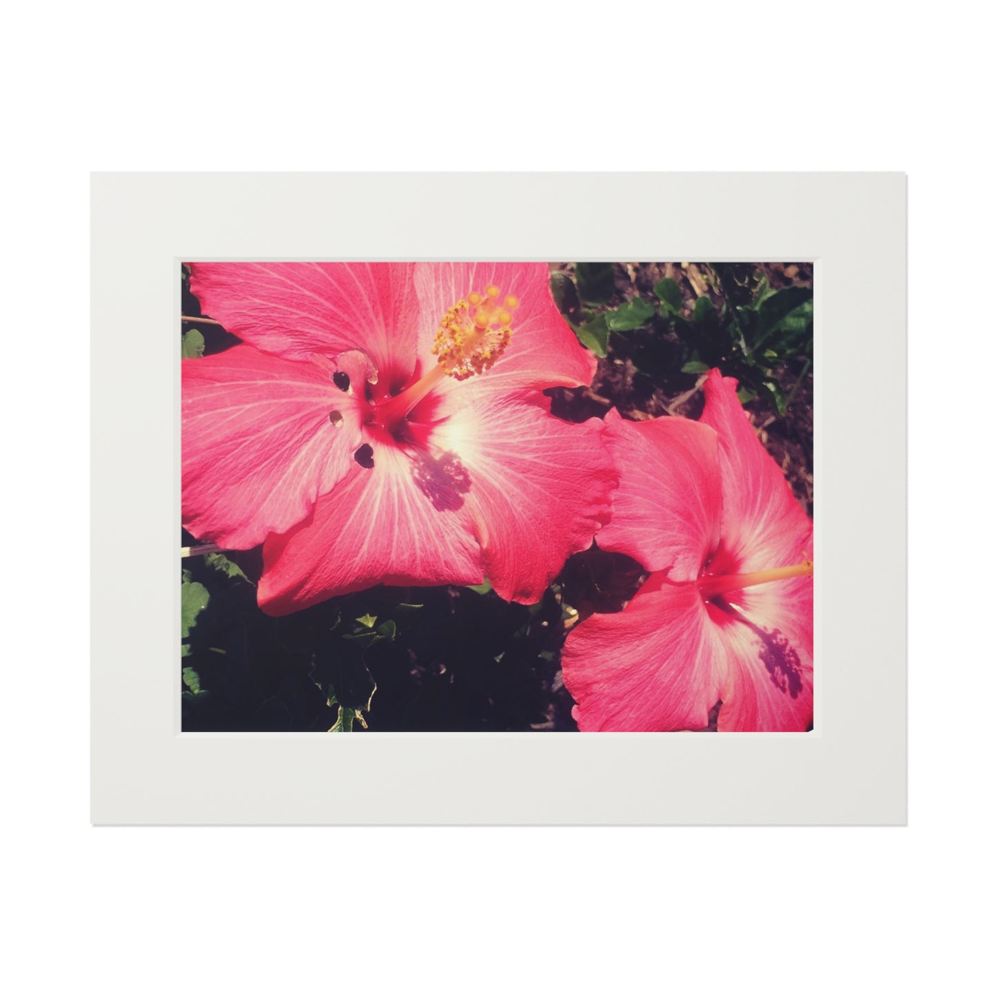 Secret garden red flowers