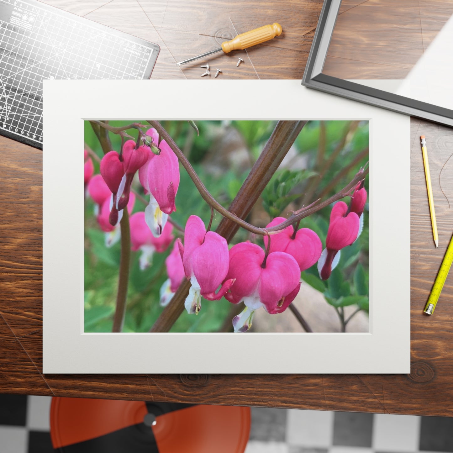 Bleeding hearts ❤️