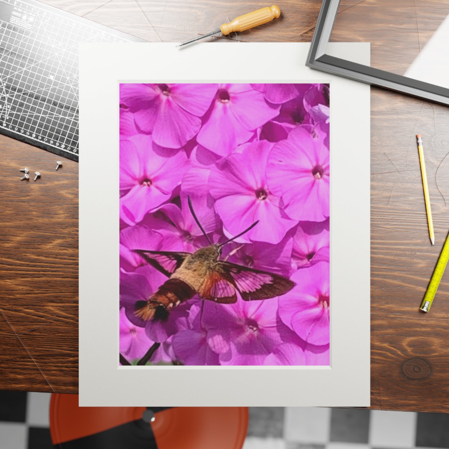 Hummingbird moth