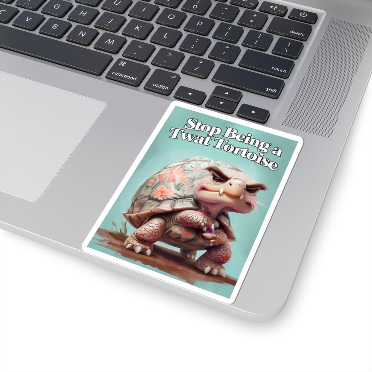 Funny Turtle Kiss-Cut Stickers, Stop Being a Twat Tortoise, Whimsical Decor, Laptop Stickers, Gift for Friends, Humor