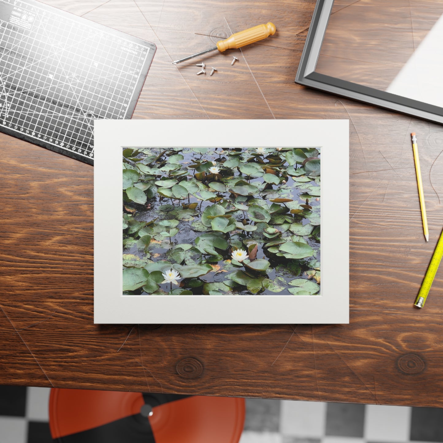 Water Lillies Reid state park