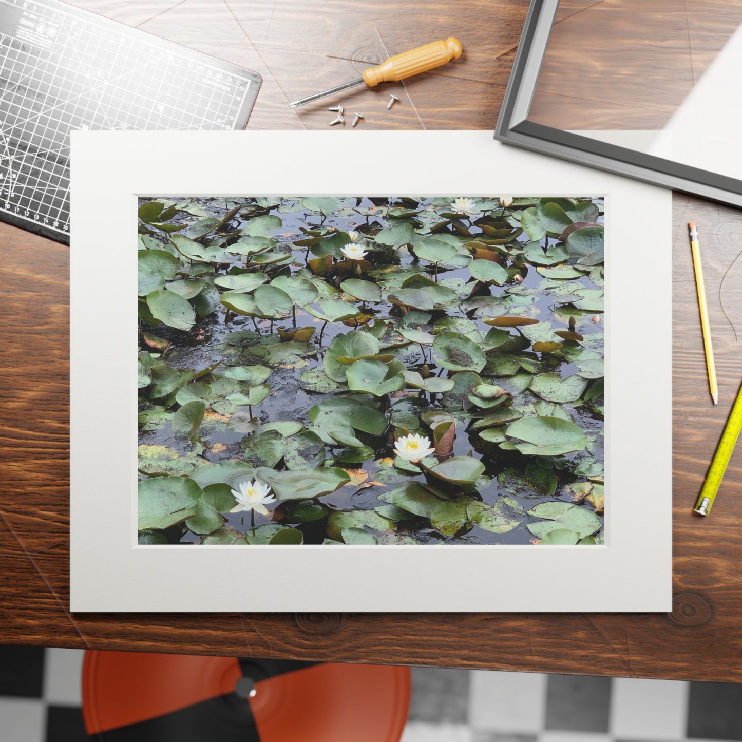 Water Lillies Reid state park