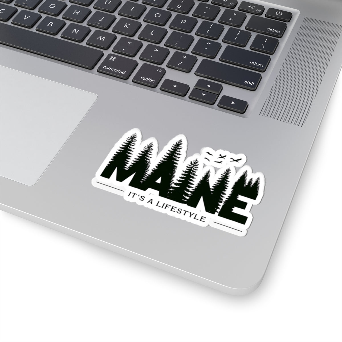 Maine Outdoor Enthusiast Sticker, Adventure Weatherproof Decal, Hiking Camping Water Bottle Laptop, Nature Explore Wilderness, Gift for