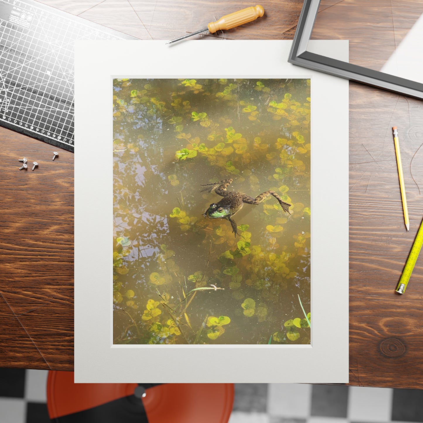 Summer afternoon frog