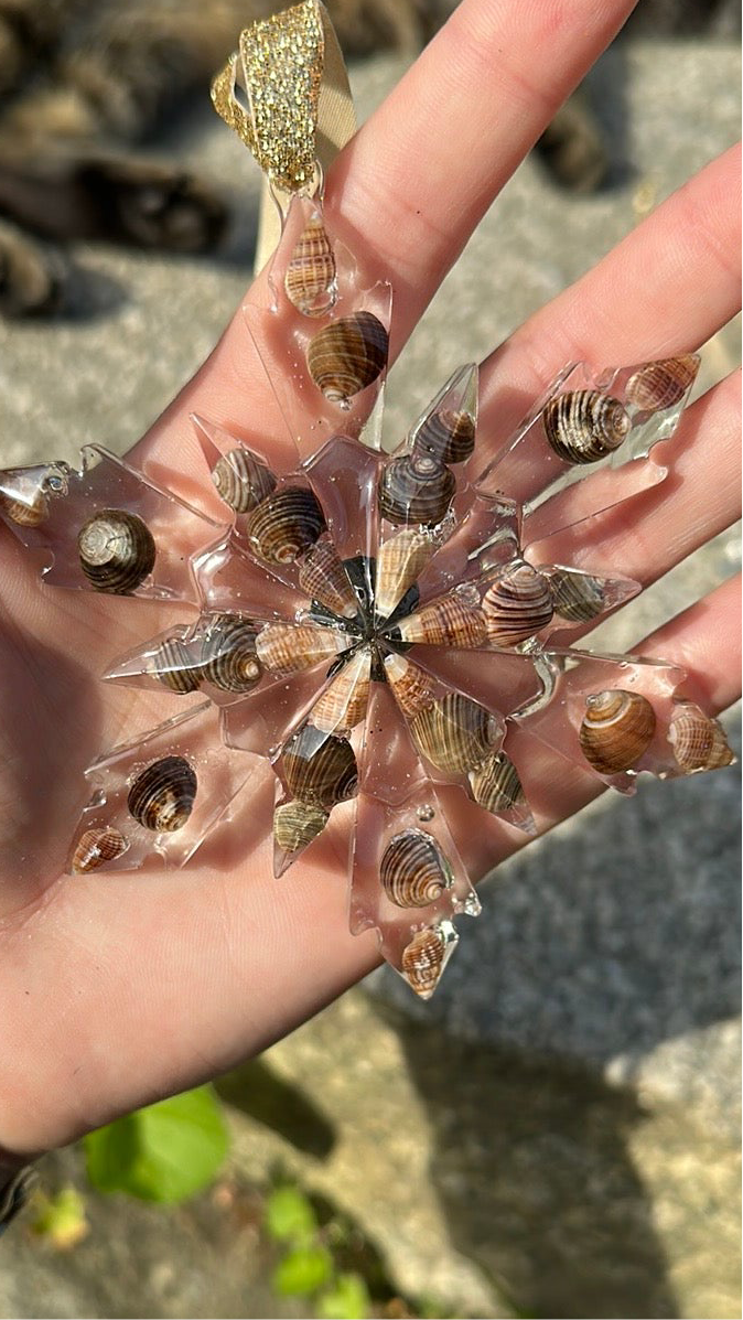 Seashell snowflakes