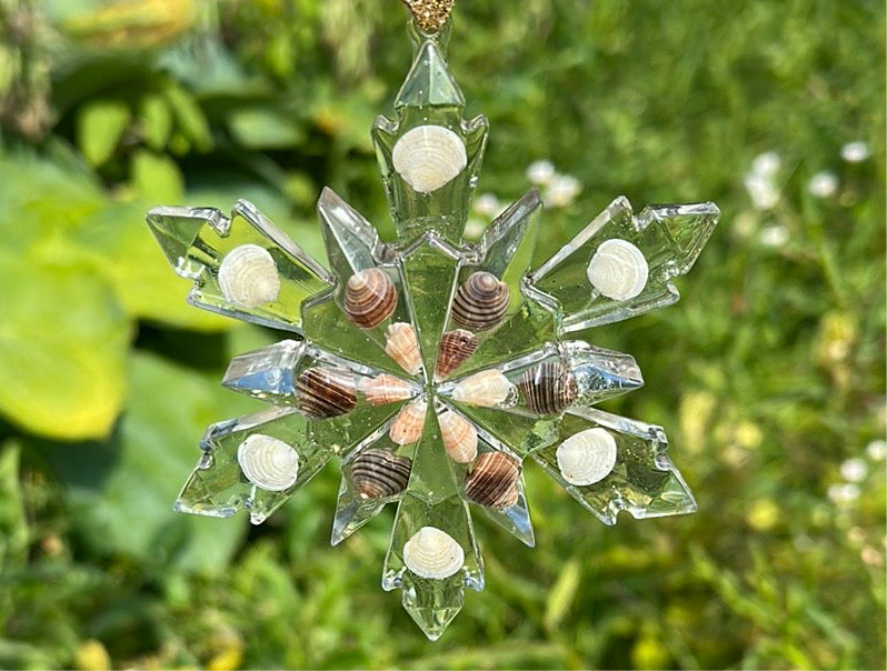 Seashell snowflakes
