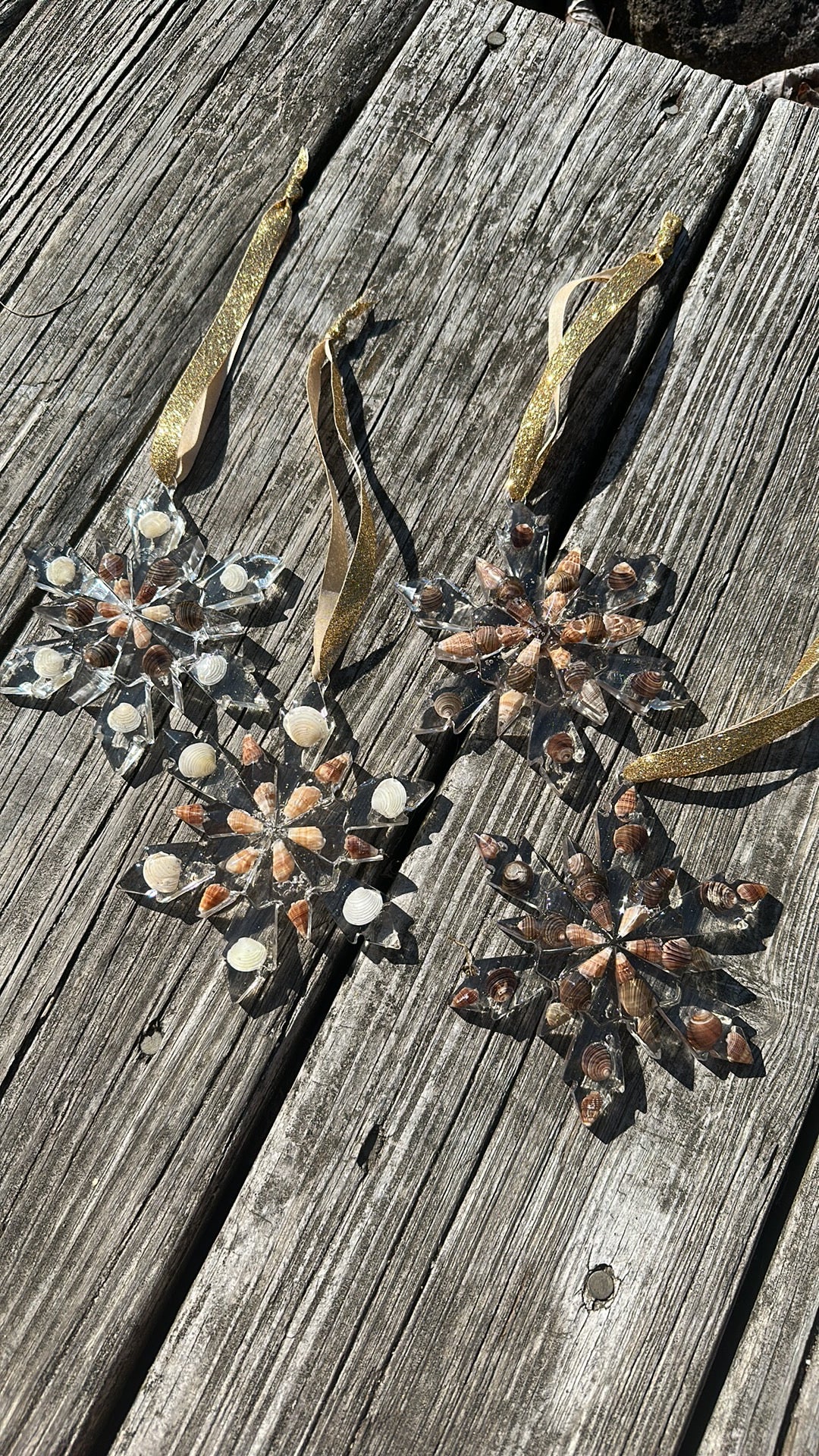 Seashell snowflakes