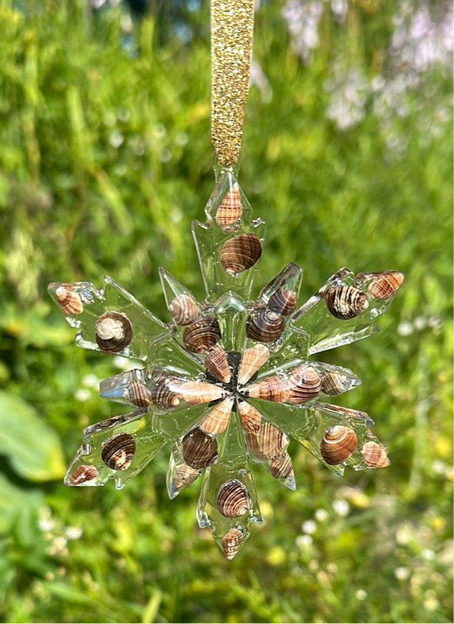 Seashell snowflakes