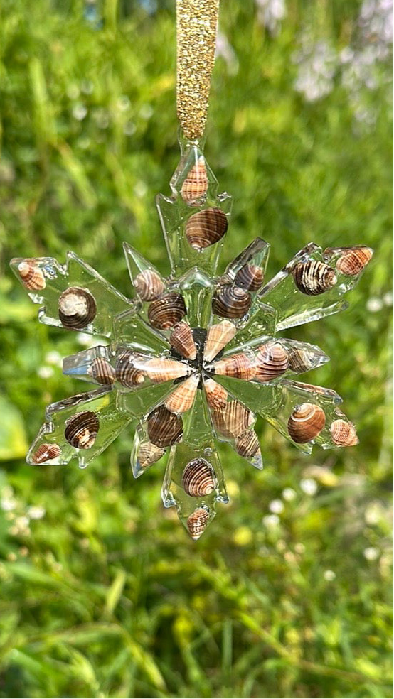 Seashell snowflakes