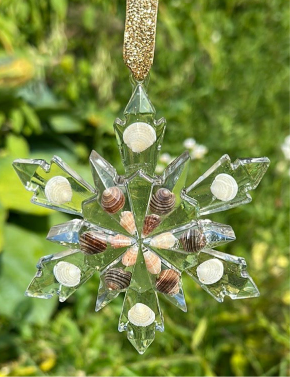 Seashell snowflakes