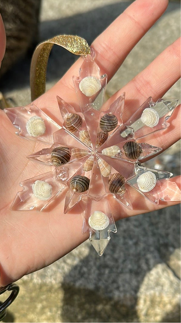 Seashell snowflakes