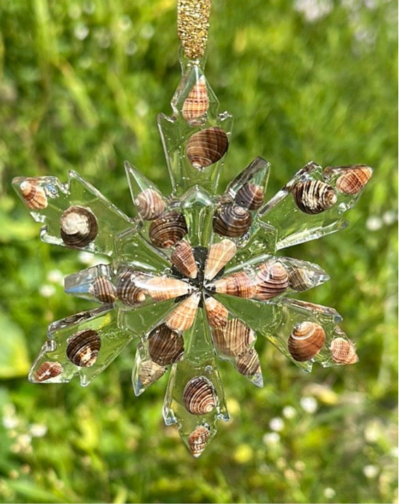 Seashell snowflakes