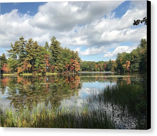 Buker Pond - Canvas Print