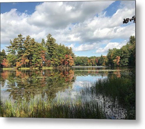 Buker Pond - Metal Print