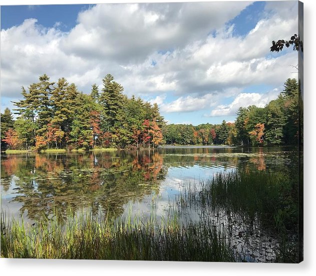 Buker Pond - Acrylic Print