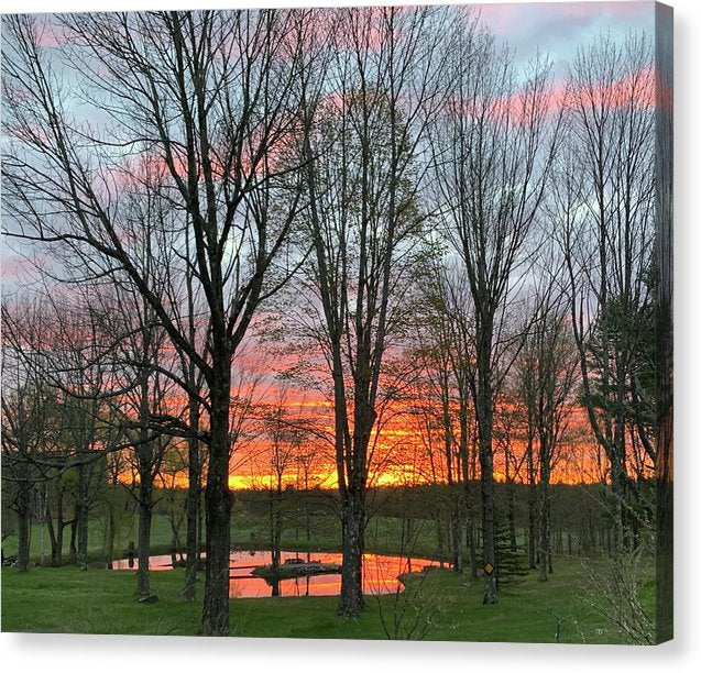Morning Sunrise  - Canvas Print