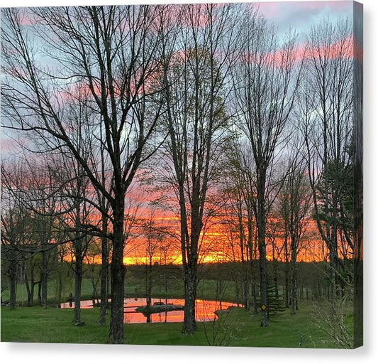 Morning Sunrise  - Canvas Print
