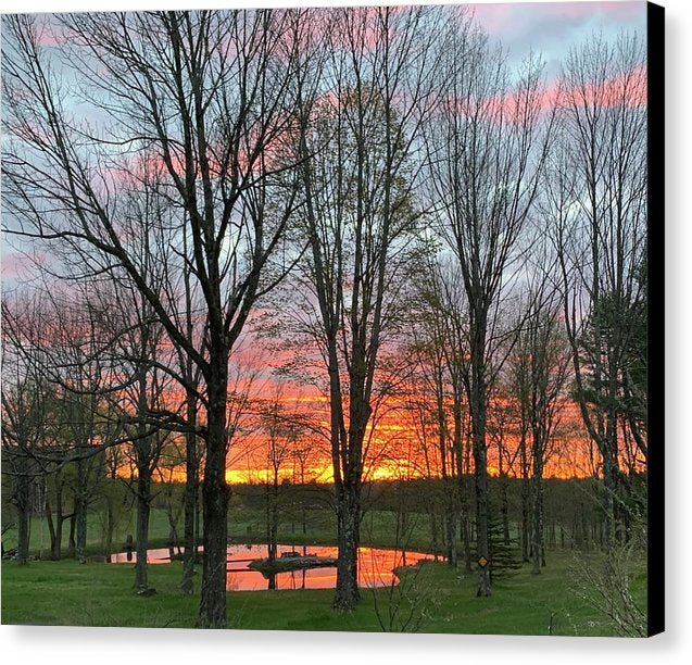 Morning Sunrise  - Canvas Print