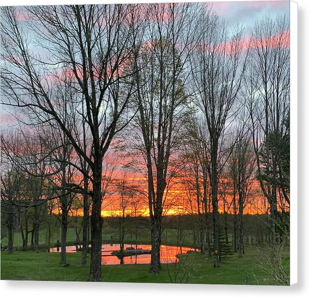 Morning Sunrise  - Canvas Print
