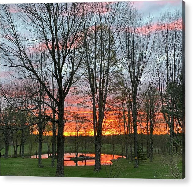 Morning Sunrise  - Acrylic Print